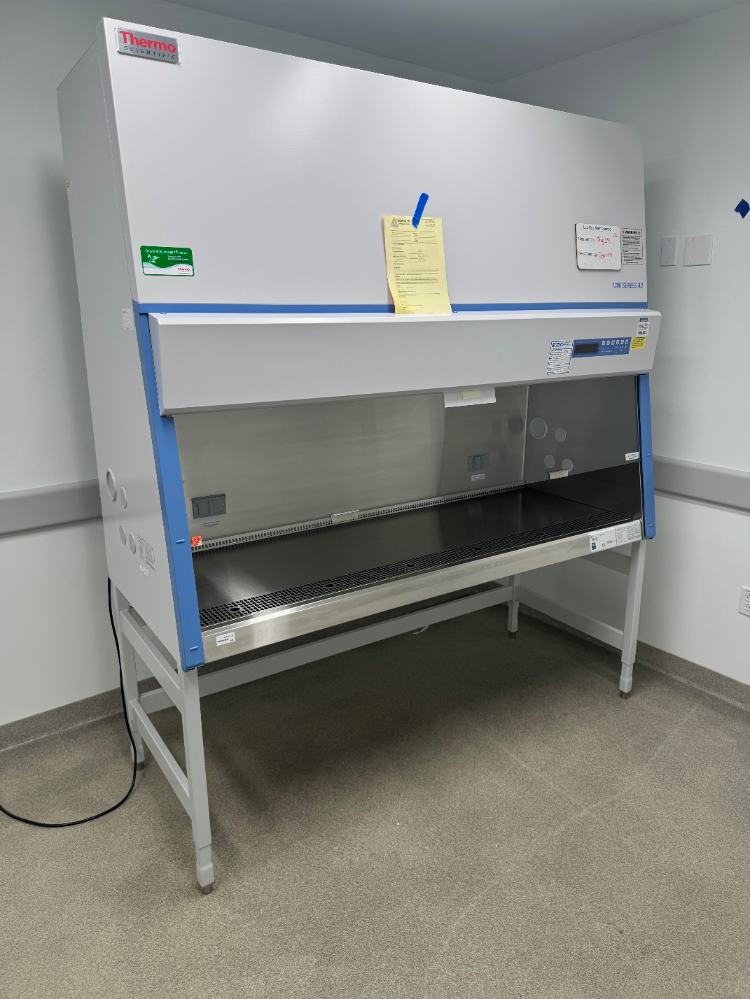 Image of Thermo 1300 Series A2 6' BioSafety Cabinet